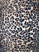 Animal Print Minky Snuggle